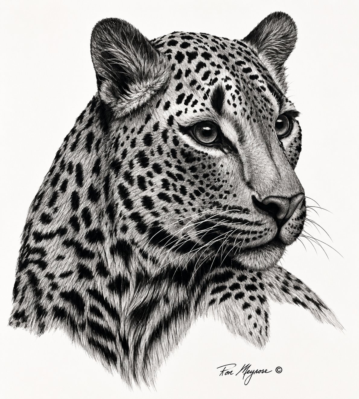 Meyrose artwork